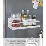 YAMAZAKI Home Plate Magnetic Spice Storage Rack Organizer For Fridge - Steel