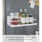 YAMAZAKI Home Plate Magnetic Spice Storage Rack Organizer For Fridge - Steel