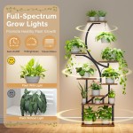 Plant Stand Indoor with Grow Lights - 62" Tall Plant Shelf, Lighted Corner Plant Stands for Indoor Growing, 8 Tiered Large Flower Holder, S-Shaped Decorative Rack for Living Room, Patent Design, Brown